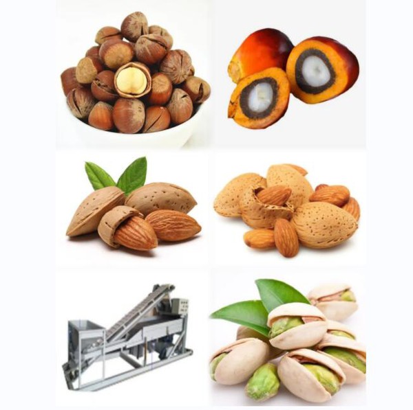 Pistachio Nut Sheller Pistachio Nut Sheller