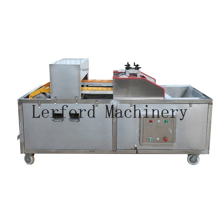 dates cutting machine