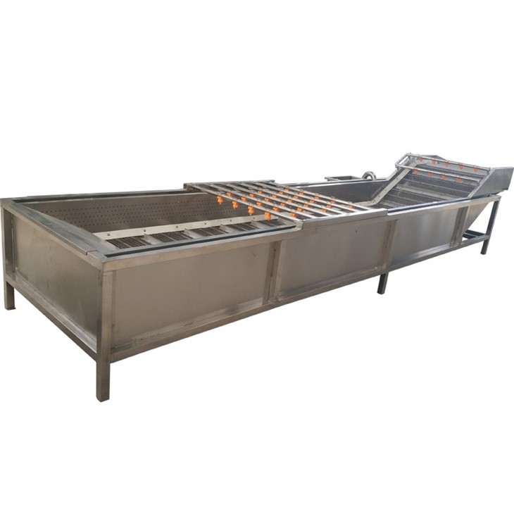 Fruit Cleaner Machine