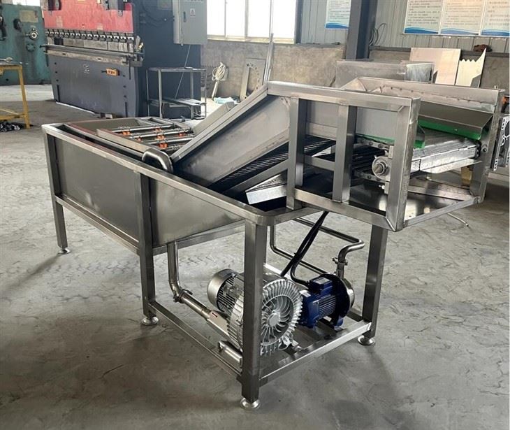 Fruit Cleaner Machine