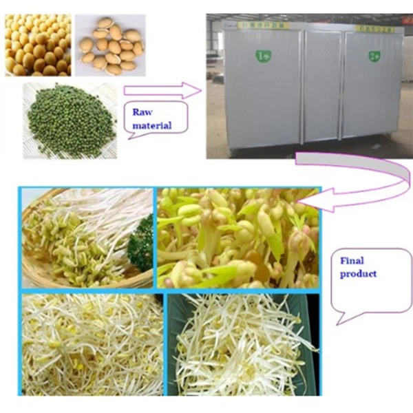 bean sprout maker bean sprout maker
